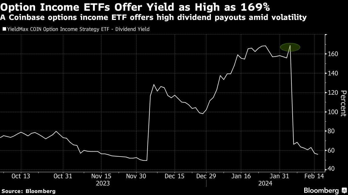 期权收益 ETF 收益率高达 169%