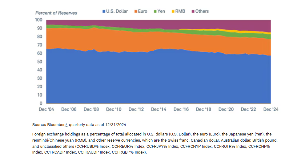 Foreign exchange holdings by currency