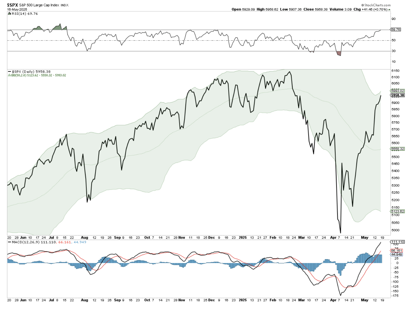 S&P 500 large cap index