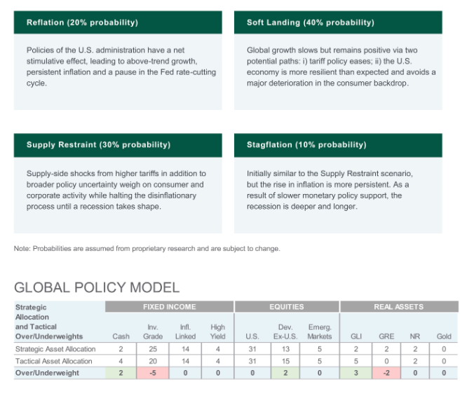 Supply restraints and global policy model